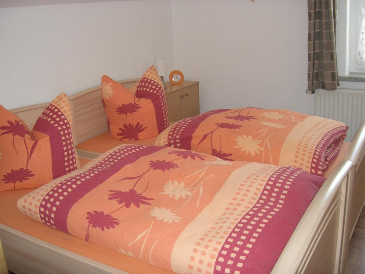Ferienwohnung Im Erzgebirge In Gelenau 外观 照片
